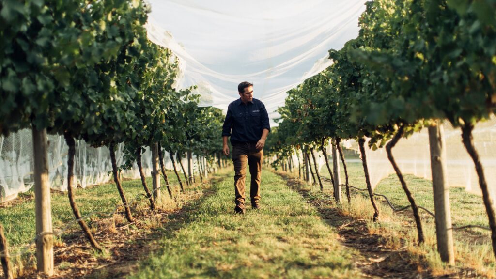 Tom Ward Nominated for Viticulturist of the year.