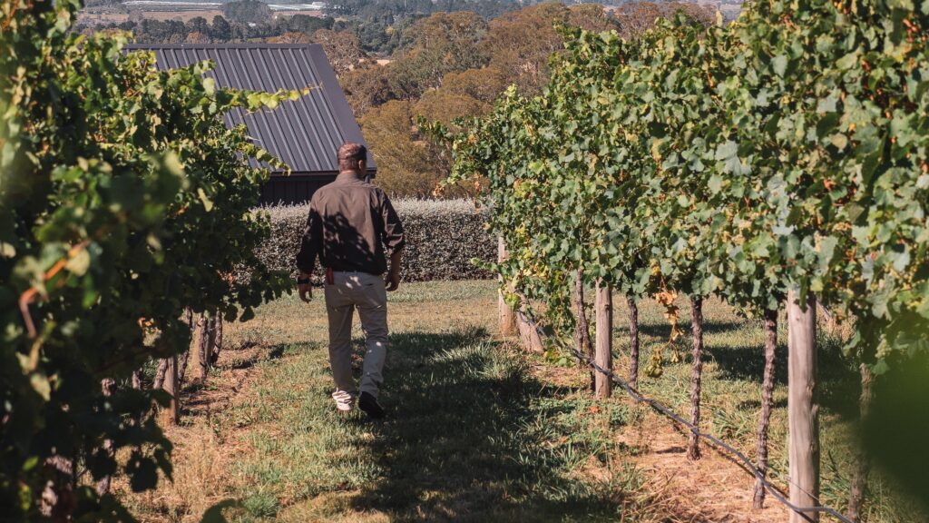Tom Ward Nominated for Viticulturist of the year.